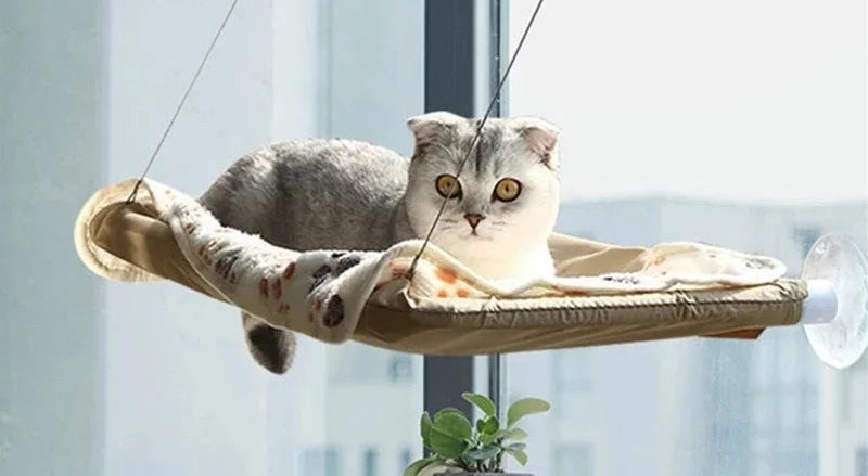 Hanging Cat Bed Pet Cat Hammock Aerial Cats Bed House Kitten Climbing Frame Sunny Window Seat Nest Bearing 20Kg Pet Winter